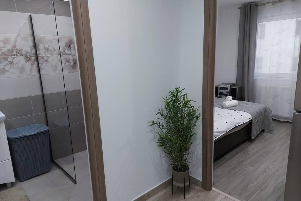 Hidden Apartment Miercurea Ciuc Zewnętrze zdjęcie