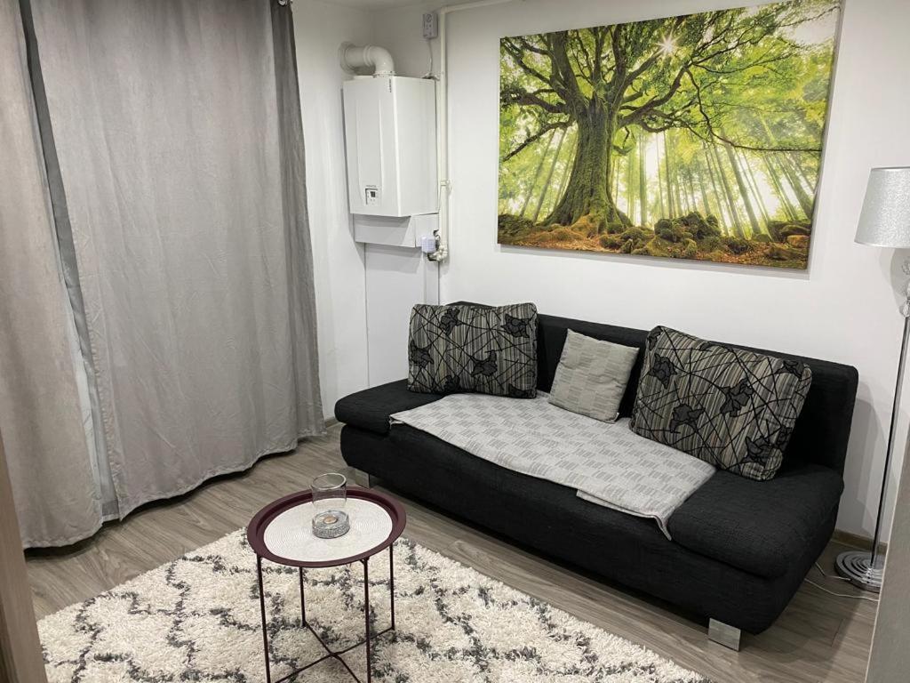 Hidden Apartment Miercurea Ciuc Zewnętrze zdjęcie